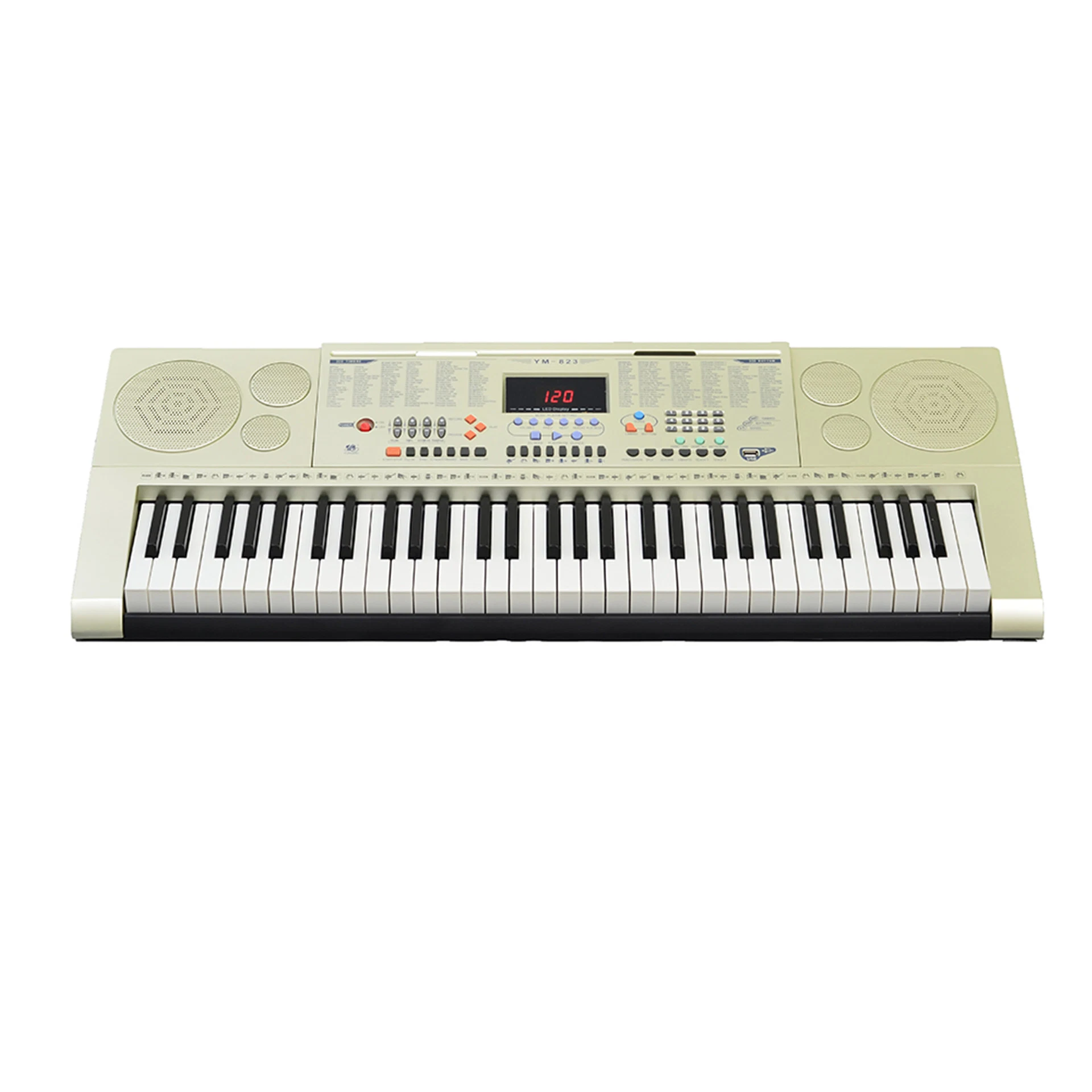 Professional Teaching Electronic Keyboards