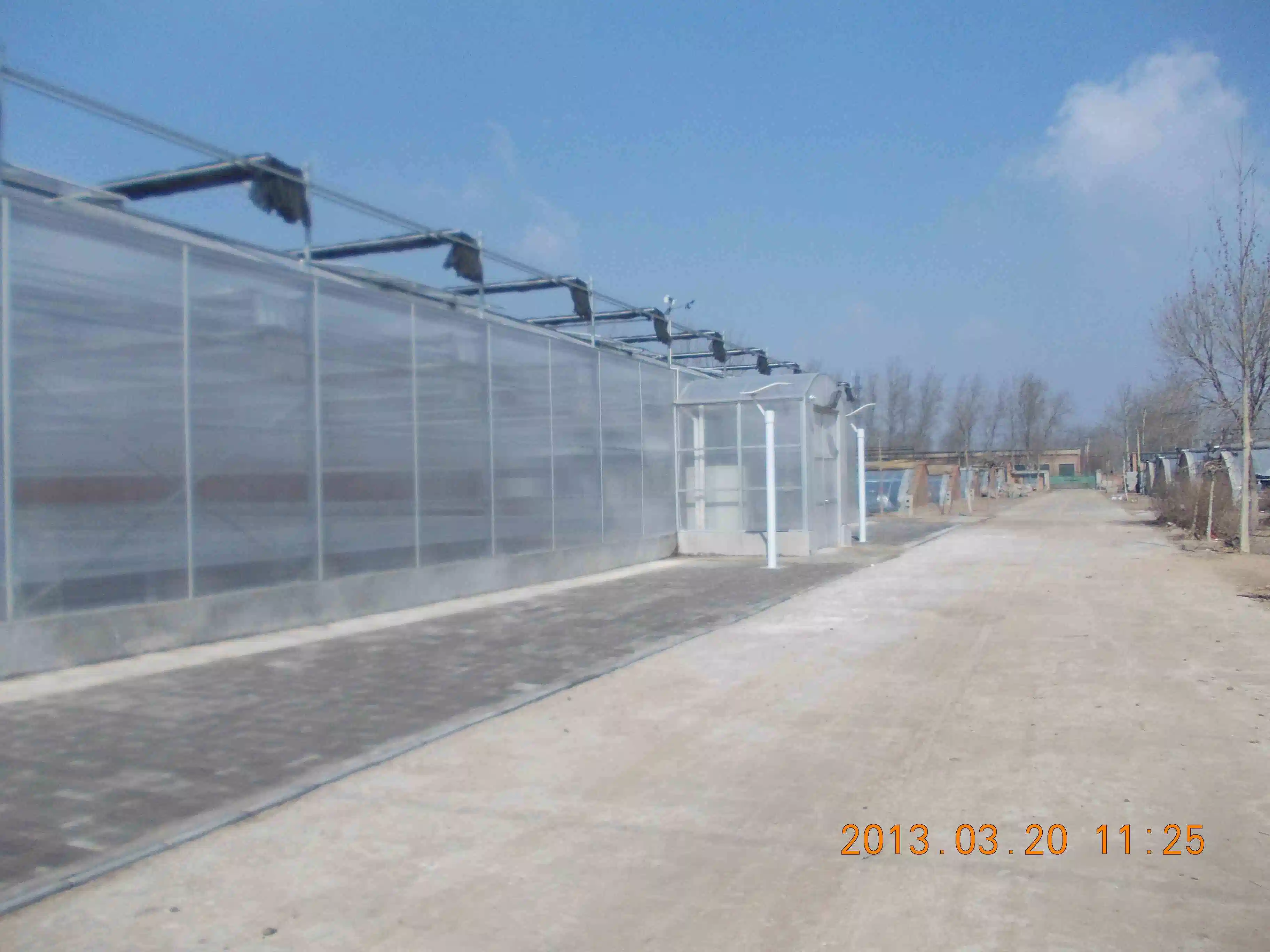 Poly Carbonate Greenhouse for Tomato Cucumber Pepper Growing