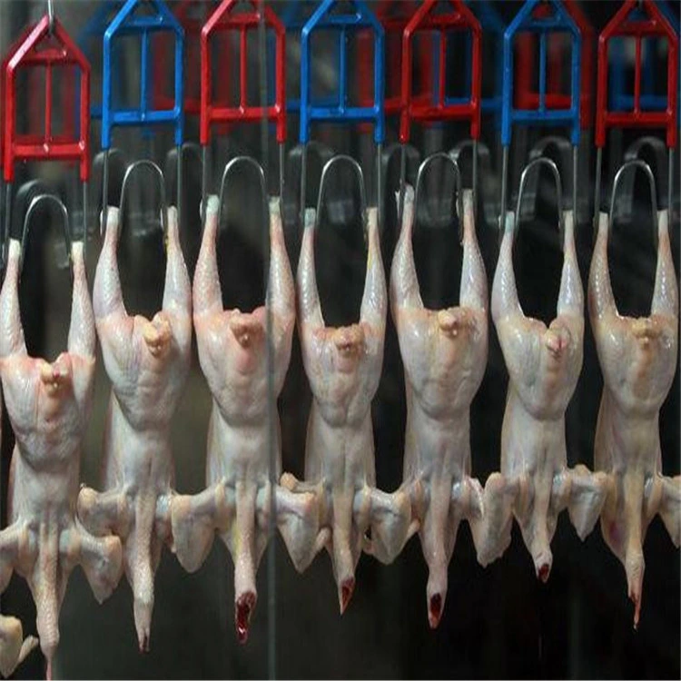 Chicken Slaughtering Equipment/High Efficiency/Halal Slaughter