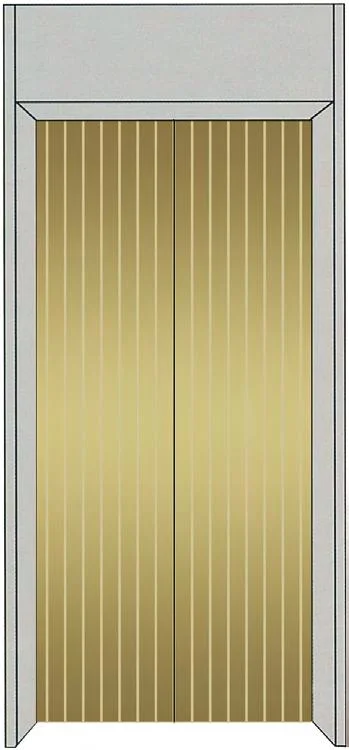 Fujixun Golden Streamlined Lines Are Exquisite and Beautiful Elevator Landing Door