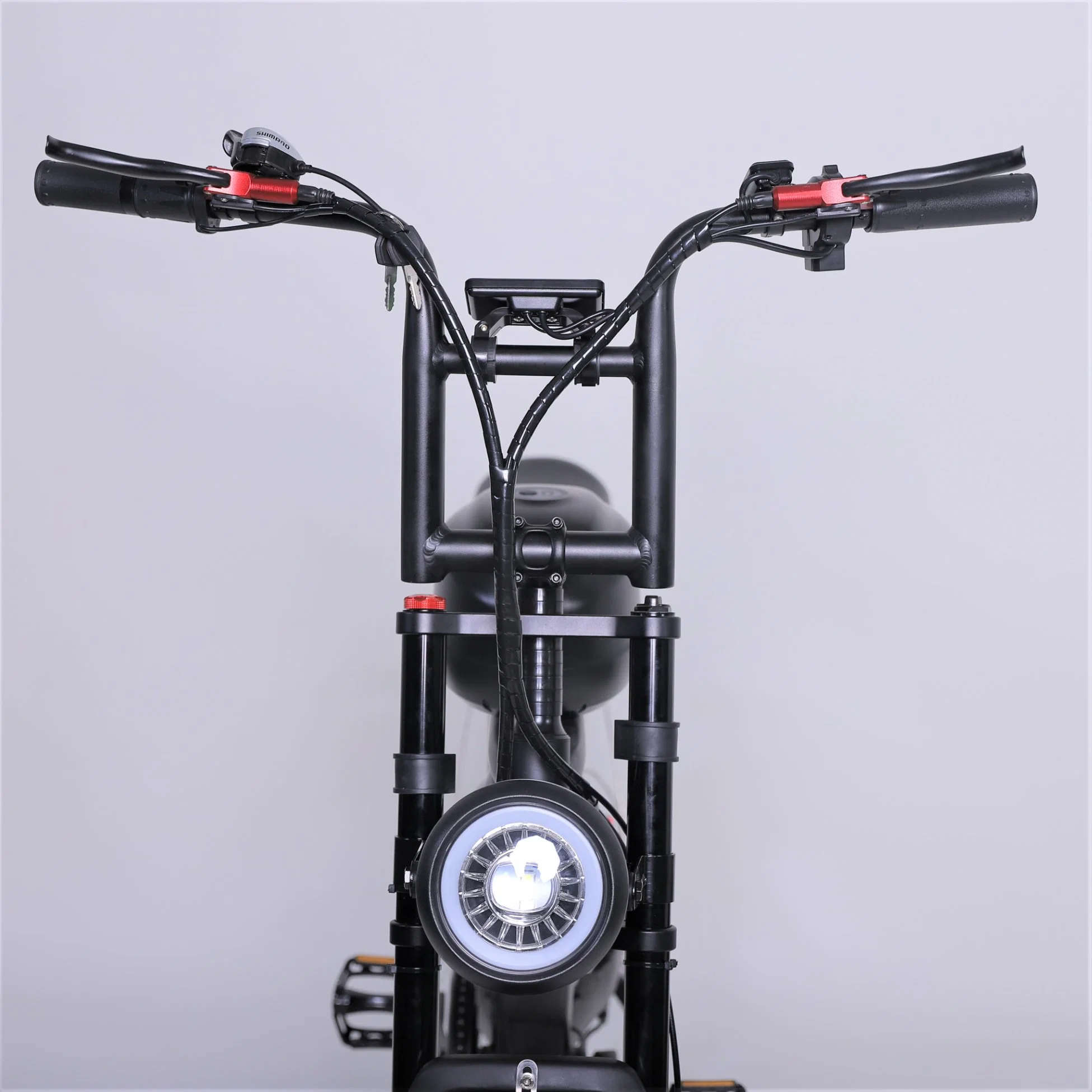 Bicicleta eléctrica de la montaña de nieve E-Bicicleta Vehículo para adultos la suciedad e Bike