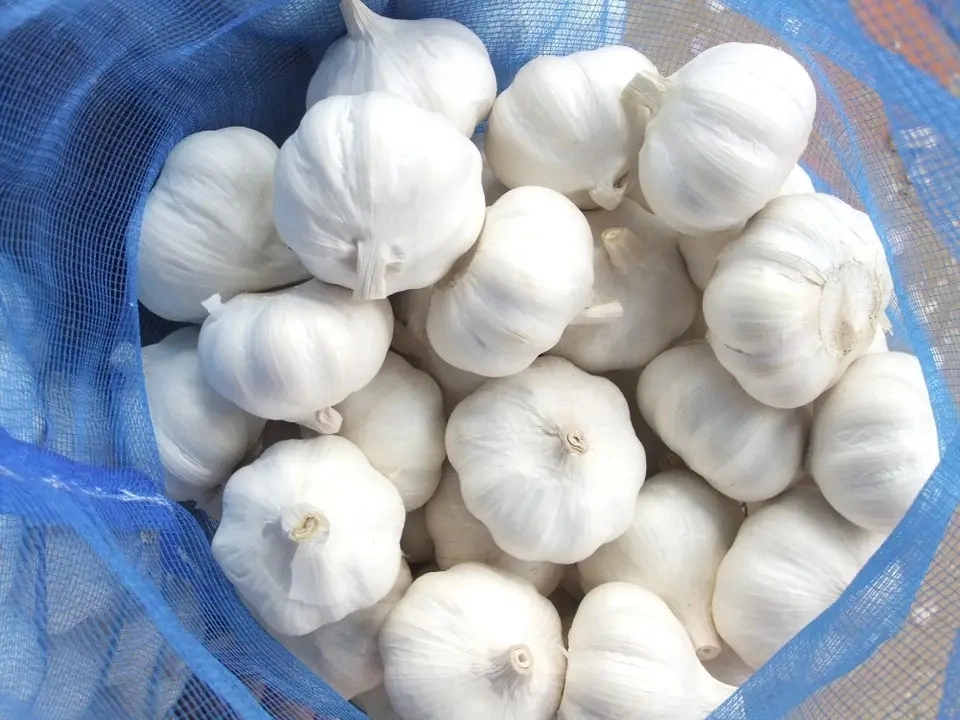 2023 New Crop Garlic with High quality/High cost performance 