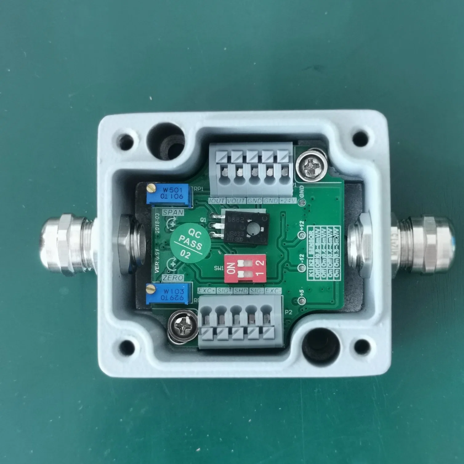 Transmisor analógico de alta precisión Intergración de señal múltiple con protección IP66 (BRS-AM-104H)