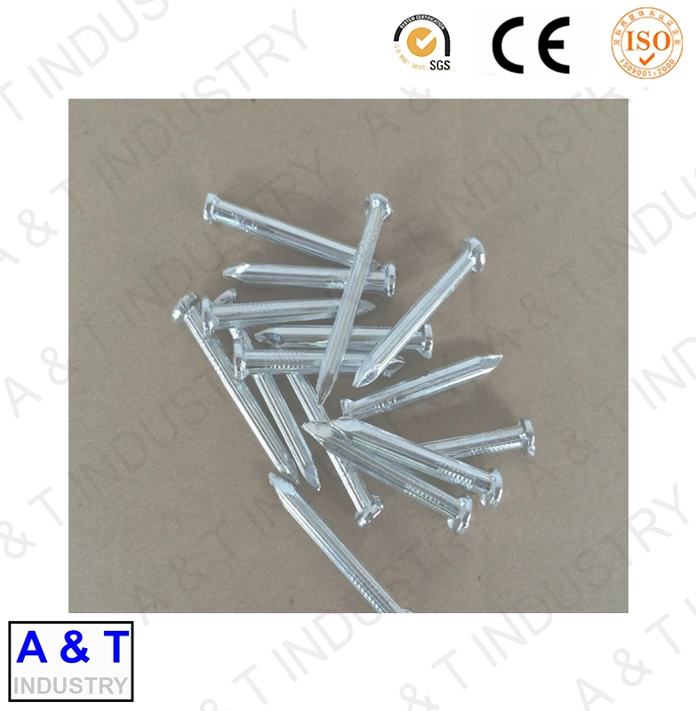 Factory Supply Construction 1-2 Inches Galvanized Steel Concrete Nail
