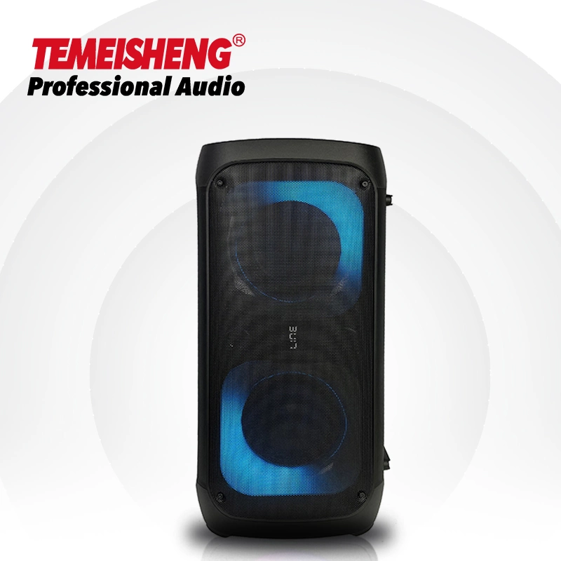 Temeisheng Bass Woofer Soundbox 6.5 Inch Outdoor Wireless Party Speaker