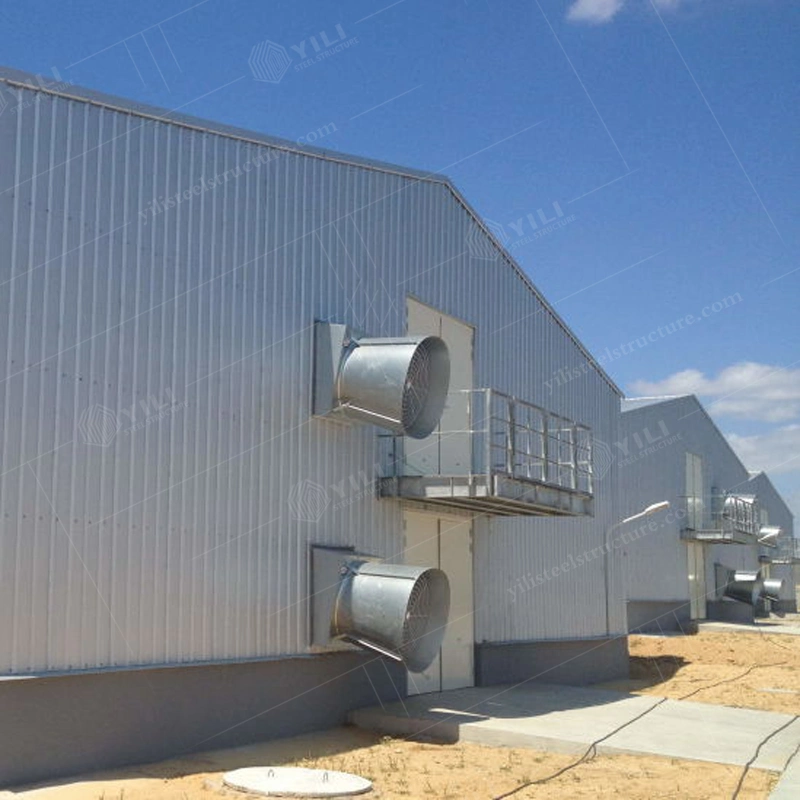 Steel Structure Broiler Poultry Farm House