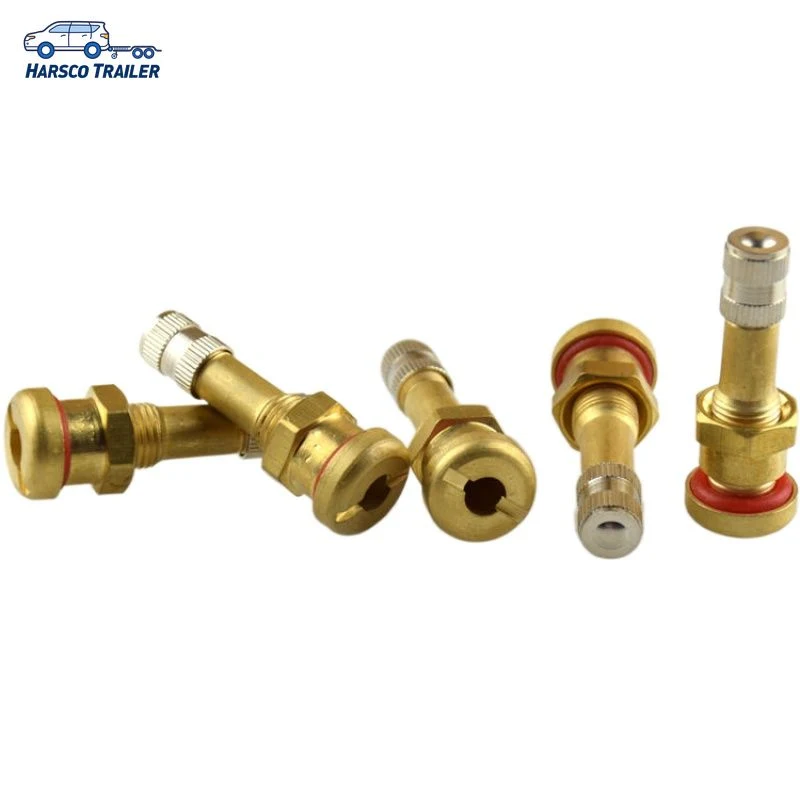 V3.20.1 European Style O-Ring Steel Clamp-in Brass Valves