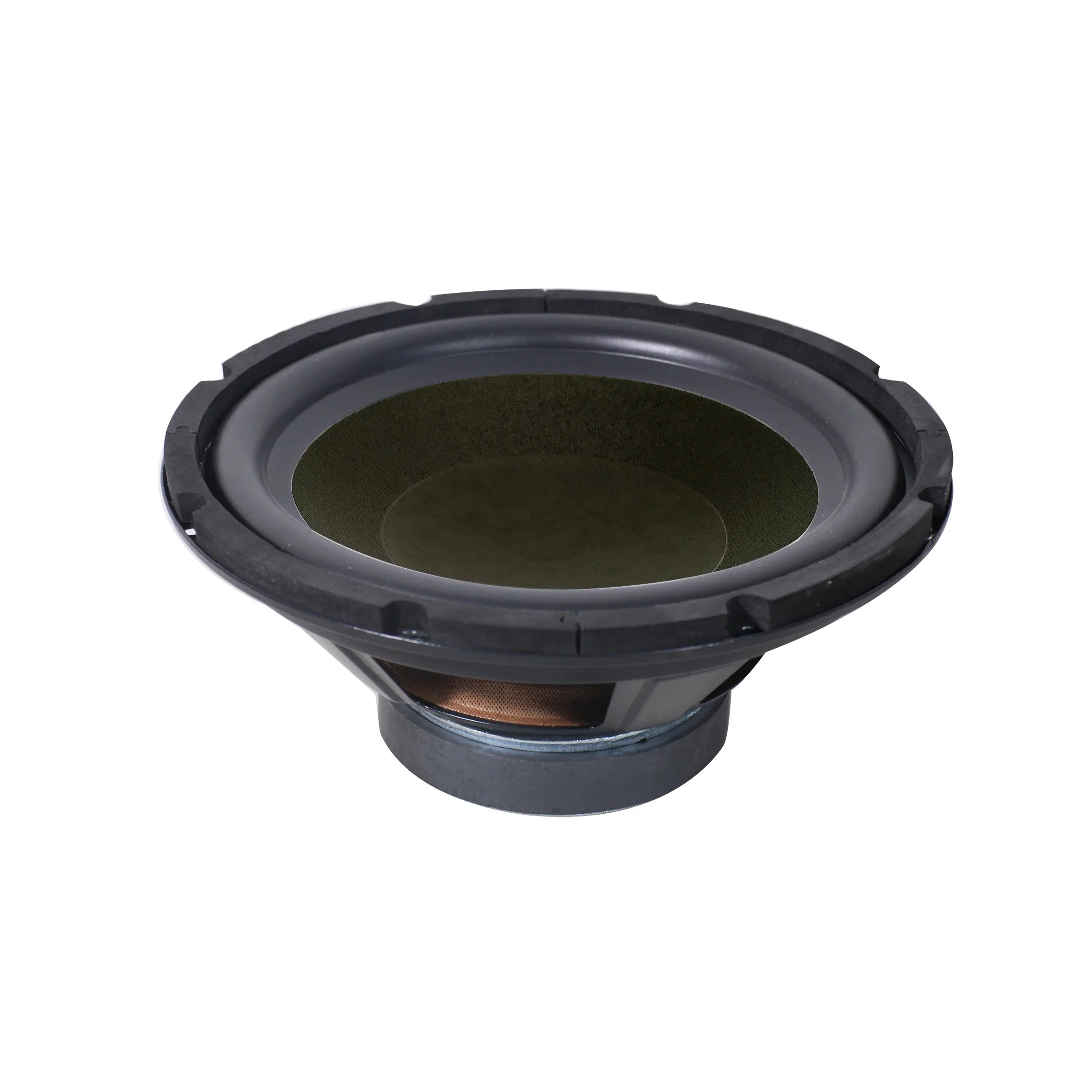 150W 10 Inch Subwoofer Speaker Driver for Home Audio System, Public Address Broadcasting System