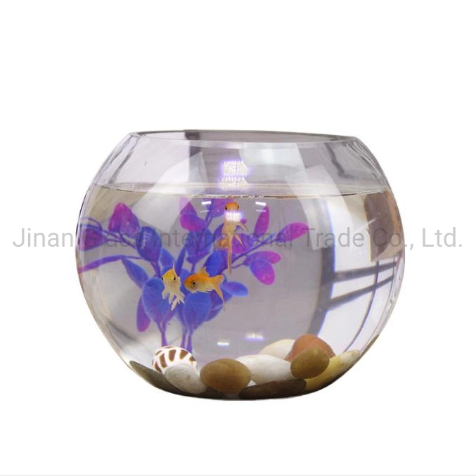 Commerce de gros poissons de taille de réservoir Réservoir rond en verre transparent Goldfish poisson bol