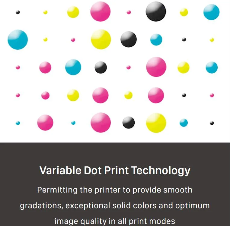 Sinocolor 1.8m 6FT Wide Format Banner Vinyl Sticker Canvas Tarpaulin Eco Solvent Printer for Sale