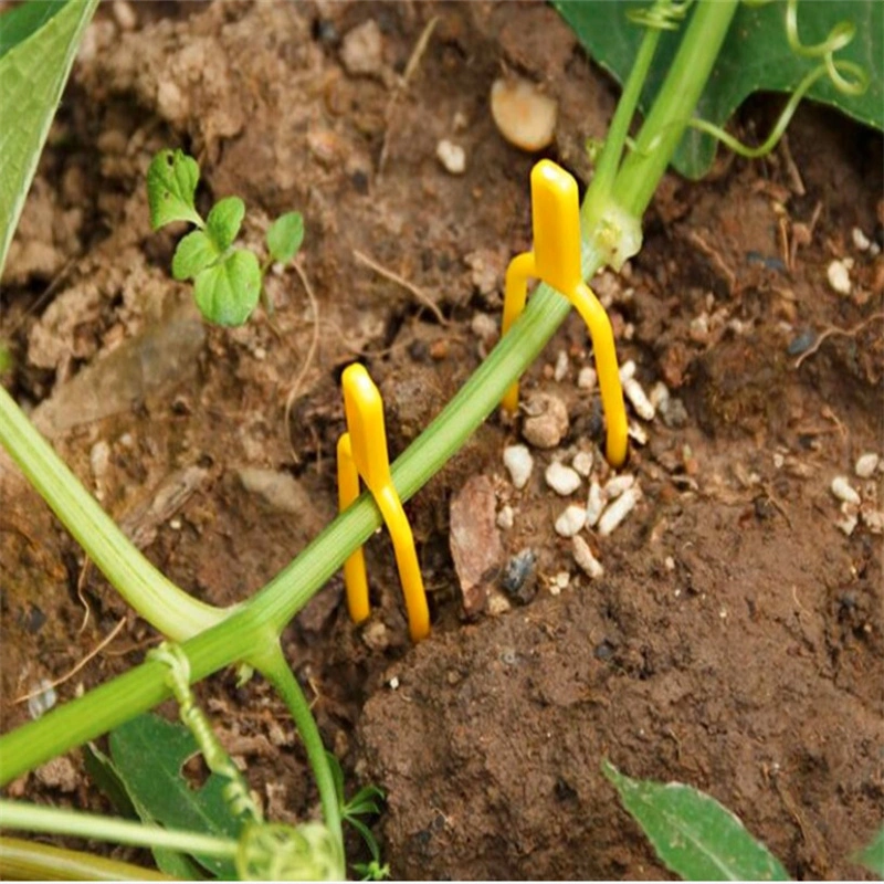 Wassermelone Gemüse Garten Tomate Trellis Clip Kunststoff-Pflanze Stützclip