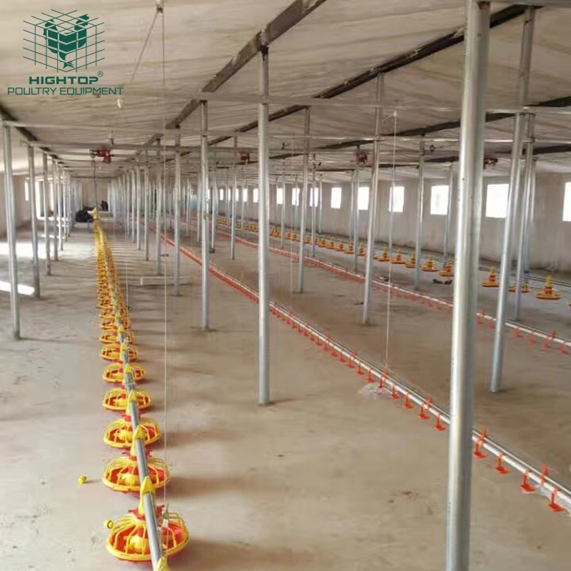 Hot Sale Poultry Farm Automatic Broiler Floor Raising Chicken Farming Feeding System