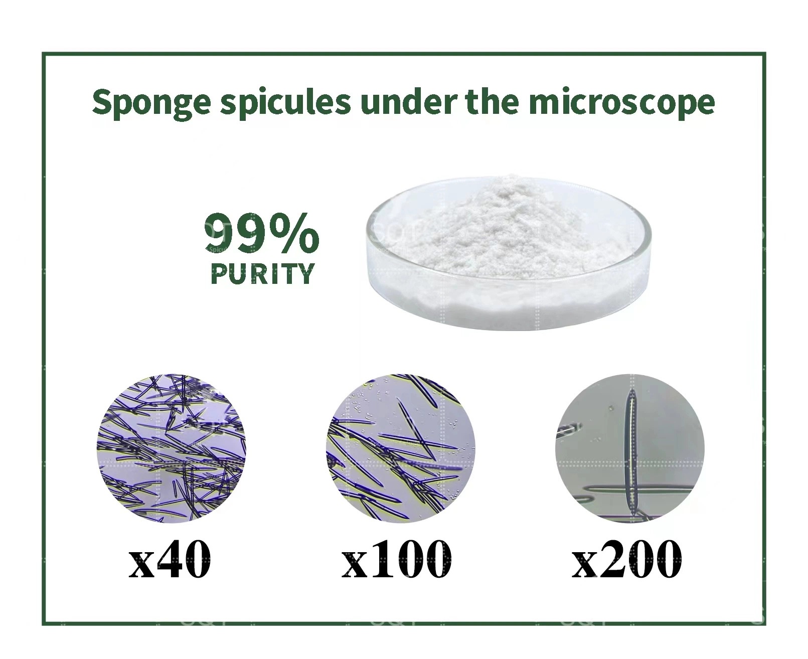 Cosmétiques matière première 99% micro aiguille éponge spicule hydrolysée Eponge