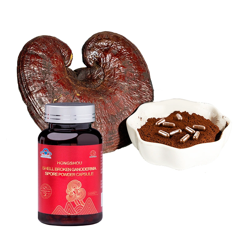 Healthcare Supplement Reishi Mushroom Ganoderma Lucidum Spore Powder Capsules