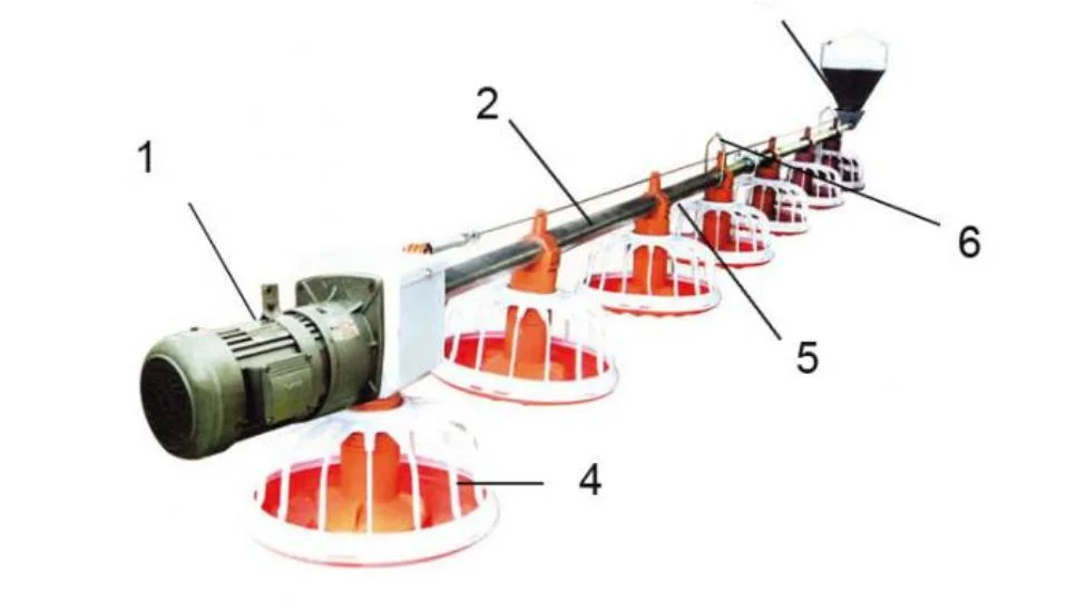 Fabricante chinês avícula Farm Automatic Floor feeding System para Broiler