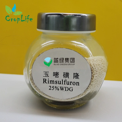 Rice Weed Control Ethoxysulfuron (15%WDG, 96%TC)