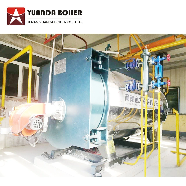 Gas Diesel Greenhouse Boiler Systems Soth Africa