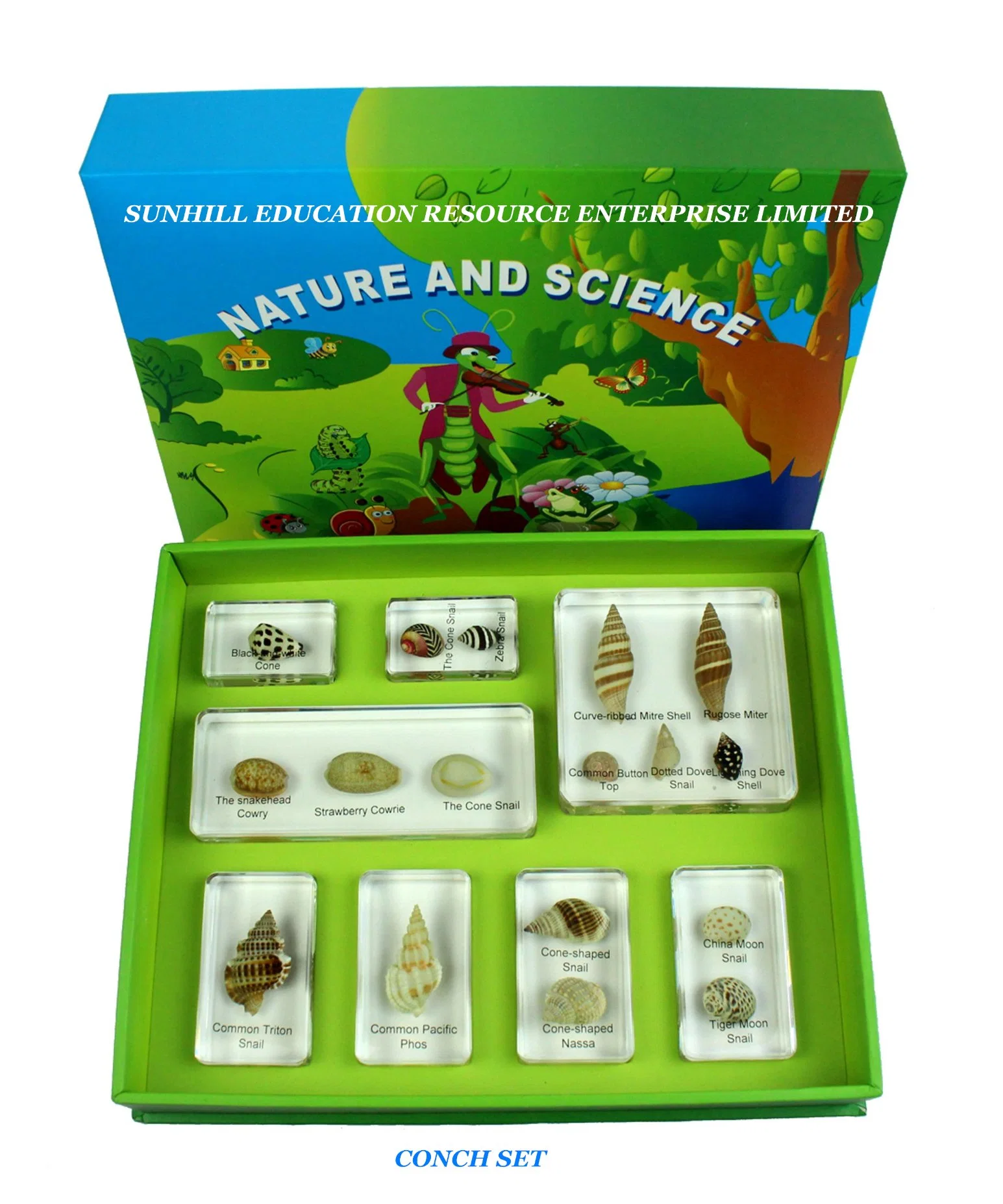 Children Toy, Nursery School Educationa Science Learning Toy, Kids Classroom Educationteaching Specimen for Kindergarten and Preschool-Animal Kingdom