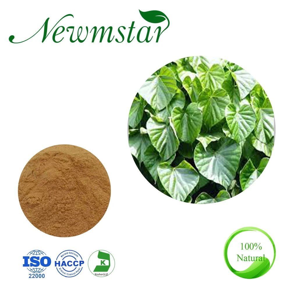 Halal Certified Herbal Extract / Tinospora Cordifolia Stem Extract / 4: 1~20: 1 Giloy Extract