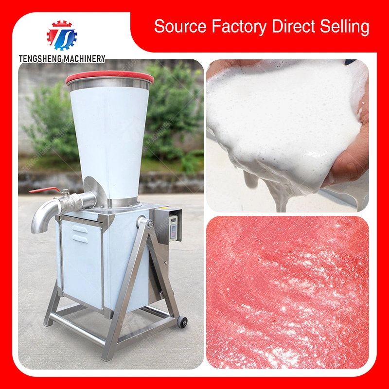 Stainless Steel Dragon Fruit Juicer Extractor Fruit Juicing Machine Food Proccessor (TS-GZ)