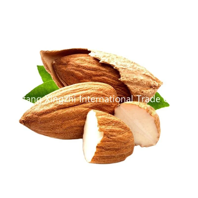 Wholesale/Supplier Healthy Thin Skin Almond Roastd Almond