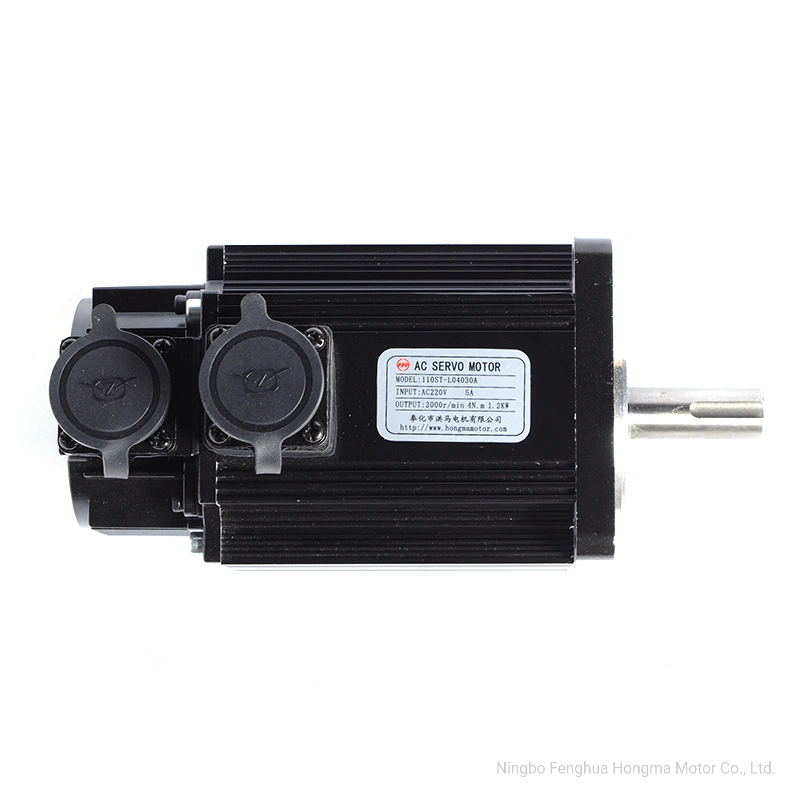 Factory Direct Sale AC Servo Motor (110ST-060020A)