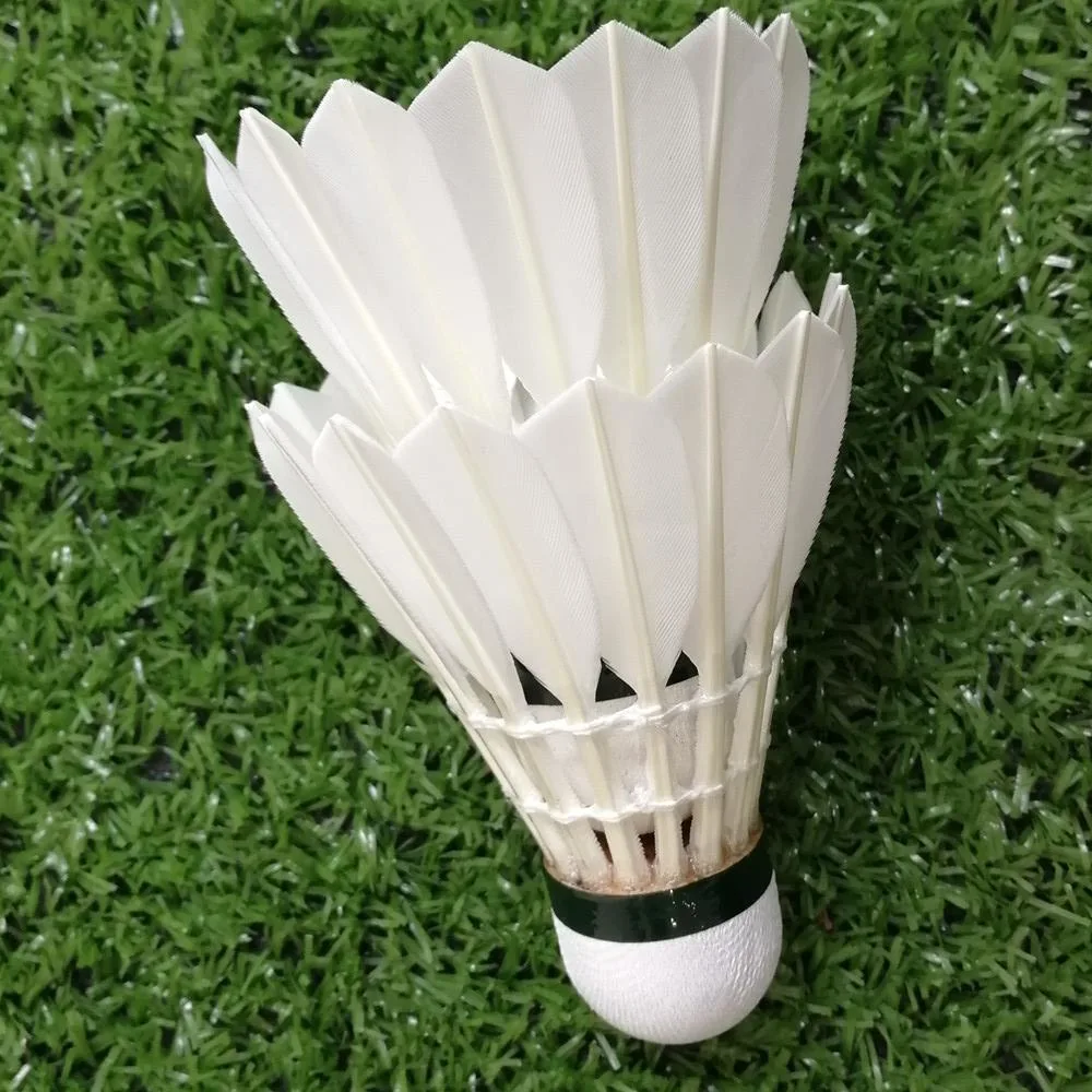Hot Selling Grade Goose Feather Badminton Shuttle for Tournament