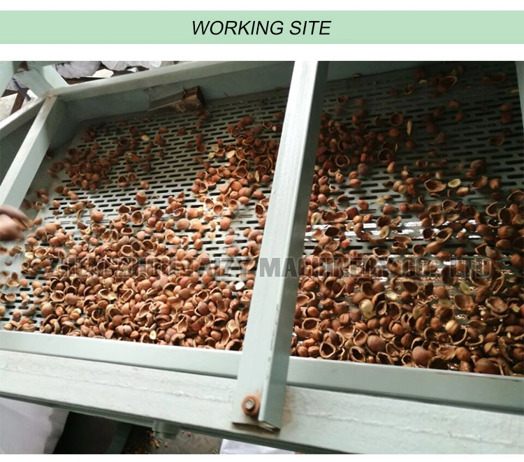 Palm Kernel Almond Shell and Kernel Separator Machine Walnut Kernel Processing Machine