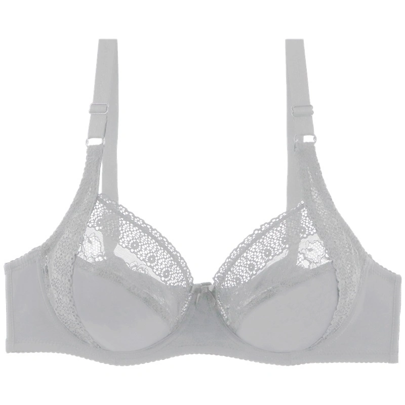 Lace Sexy Bra de tamanho grande