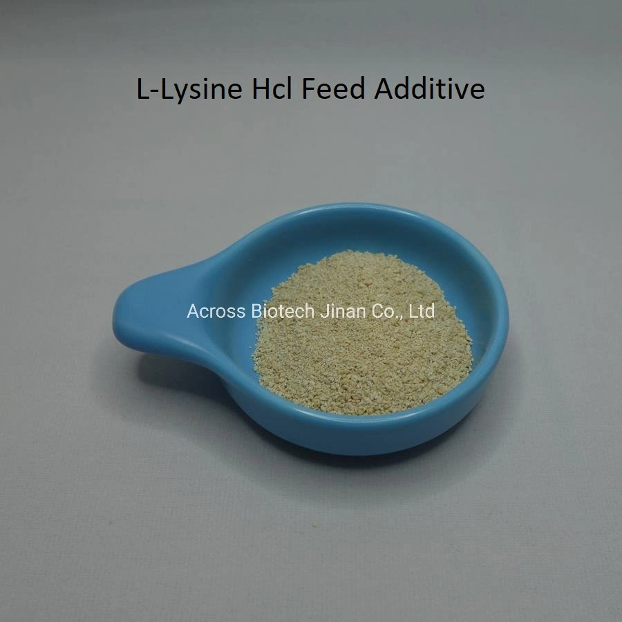 L Lysine HCl 98.5% and Lysine Sulphate 70% of Eppen/Golden Corn/Meihua Brands