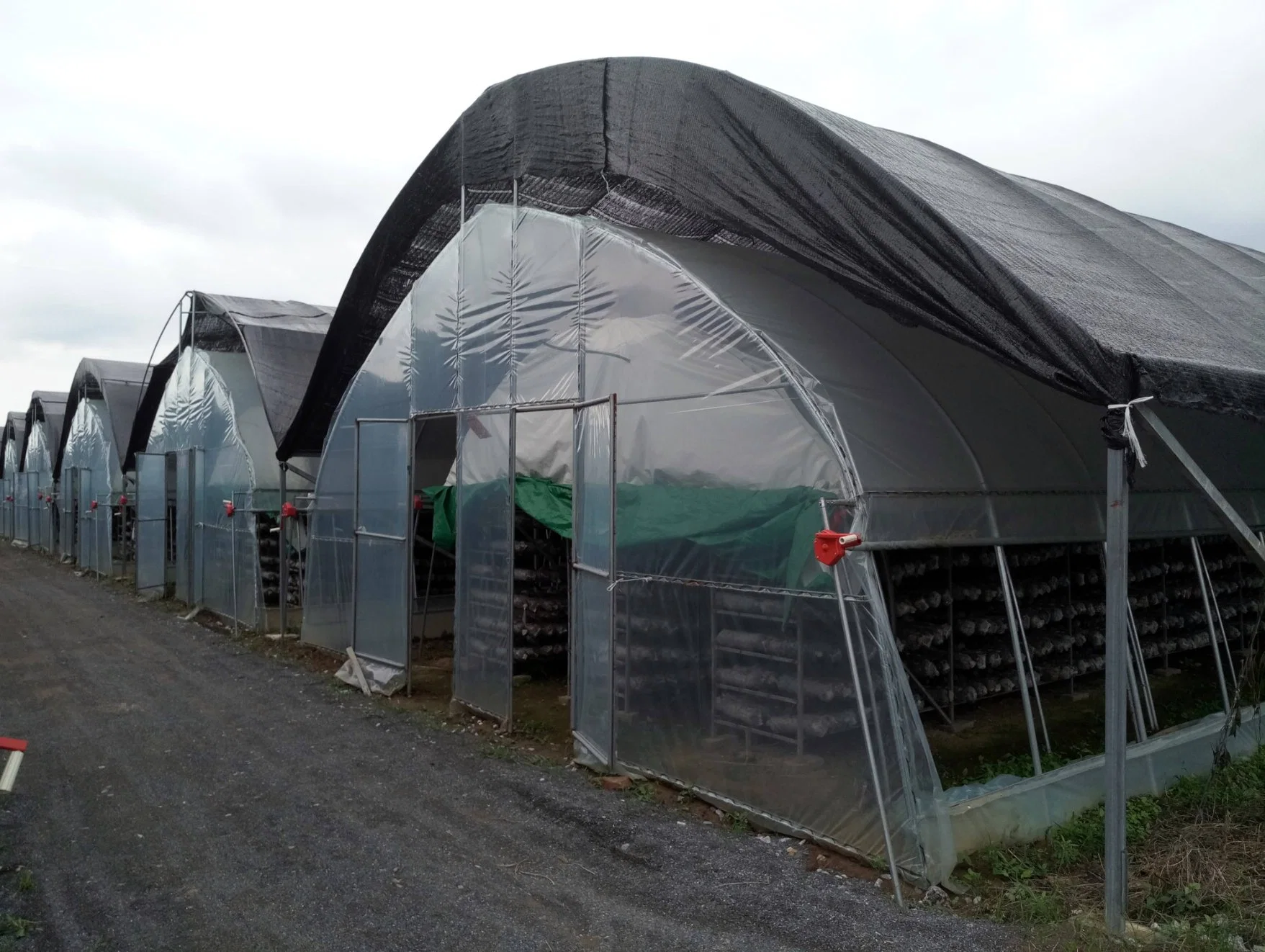 Greenhouse for Flower Shiitake Mushrooms with Full Equipment Package