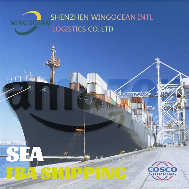 Cheapest Sea Freight Forwarder From China to Canada Sea Cargo Service