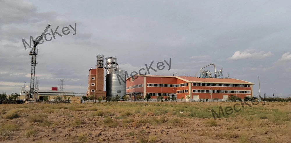 Meckey usine de transformation en profondeur de maïs à rendement élevé entièrement automatique Équipement