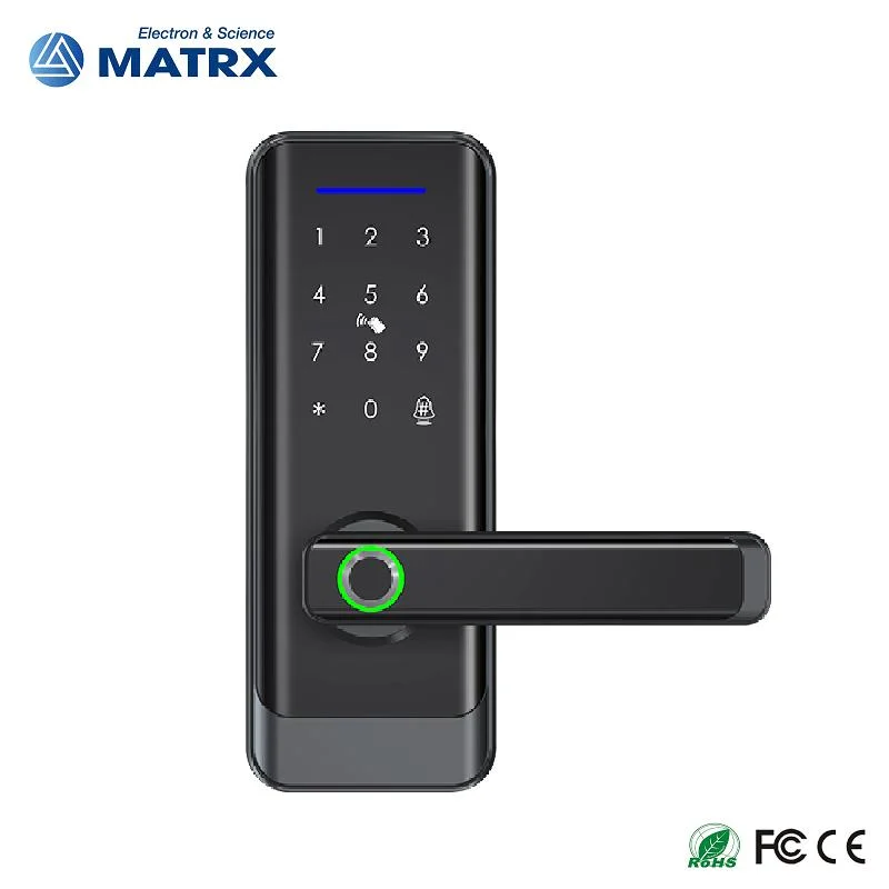 Hot Sale Tuya APP Remote Control Fingerprint Door Lock