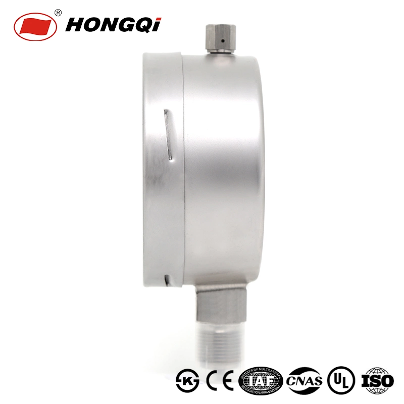 Hongqqi 100mm Full Stainless Steel Bottom Type Capsule Pressure Gauge