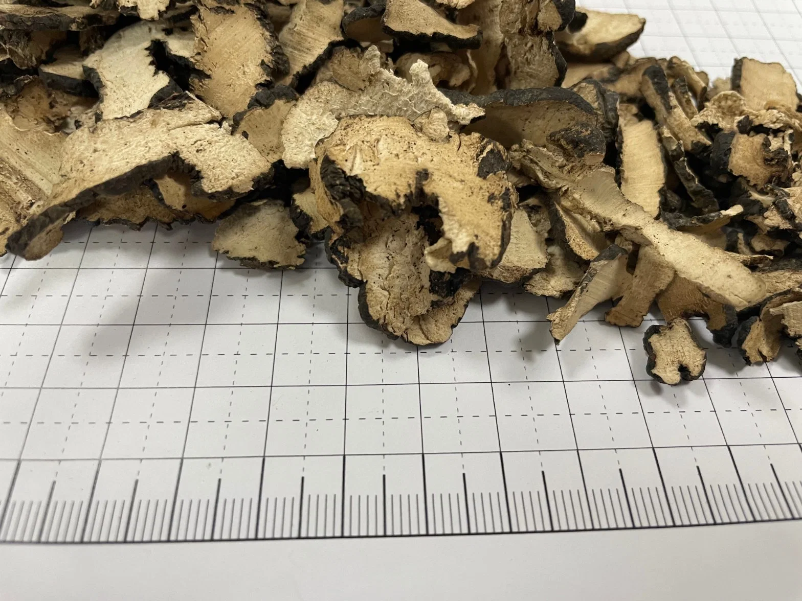 Zhu Ling Dried Natural Natural Dried Herb Polyporus Umbellatus Whole Part