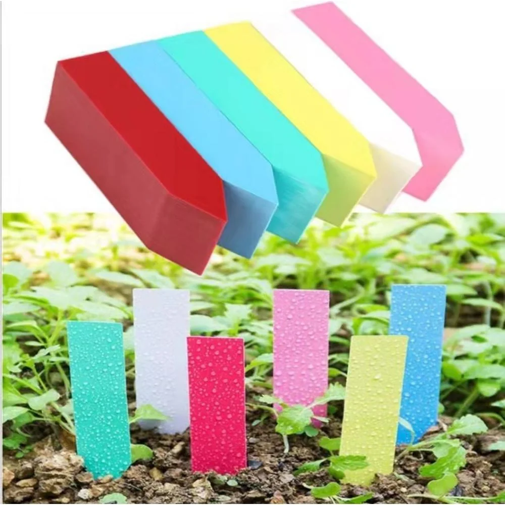 100 Reusable Plant Hang Tag Labels Tree Fruit Seedling Garden Flower Pot Plastic Labels Sign Classification Tools Wyz18719