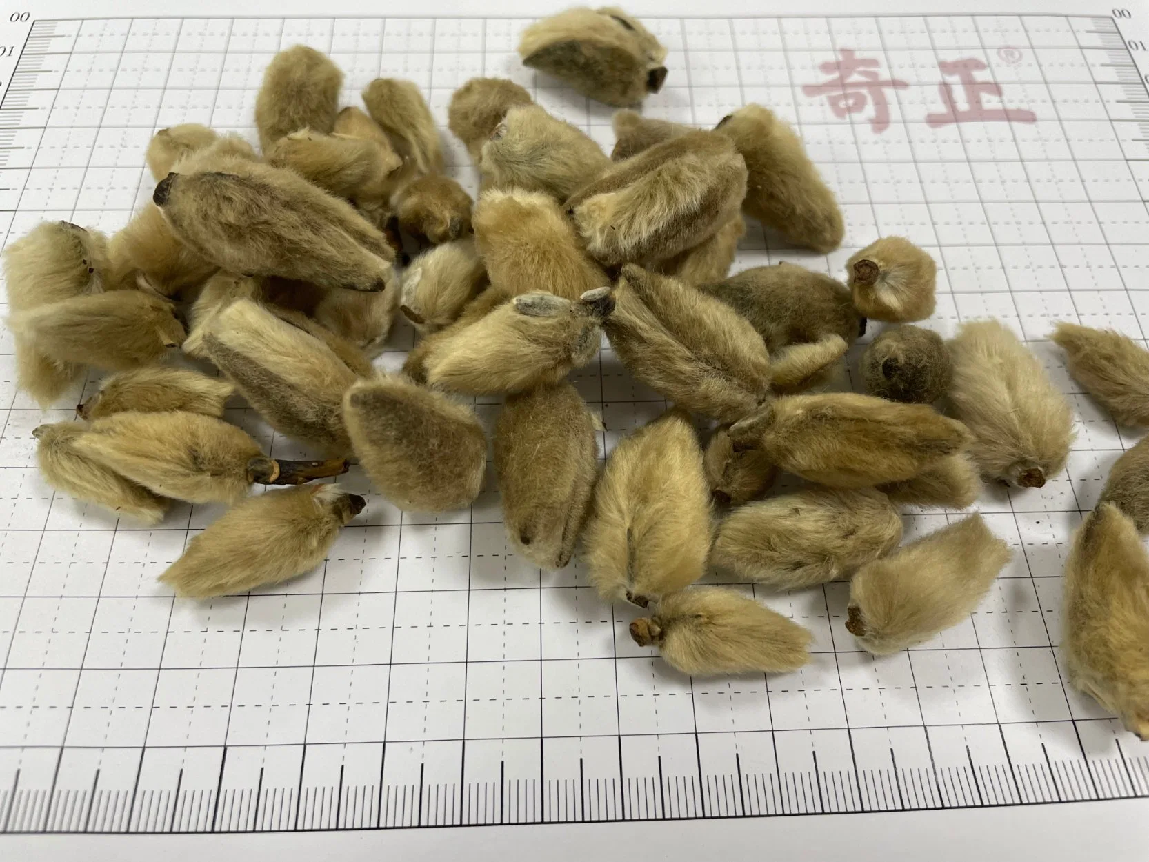 Xin Yi Hua Venta caliente de alta calidad de proveedor de fábrica las flores secas para el té de Flor de Magnolia