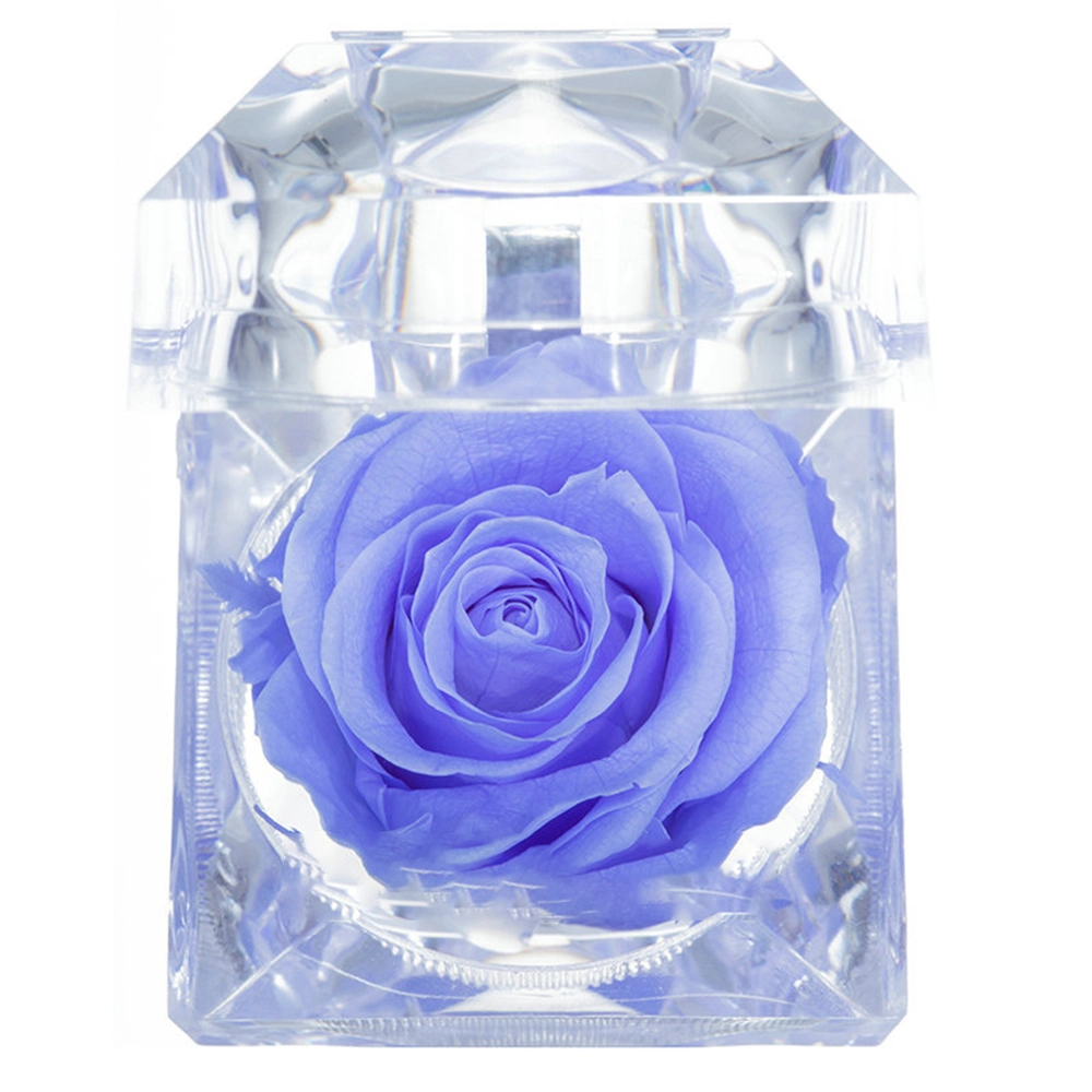 Clear New Arrival Luxury Custom Acrylic Ring Box for Jewelry Store