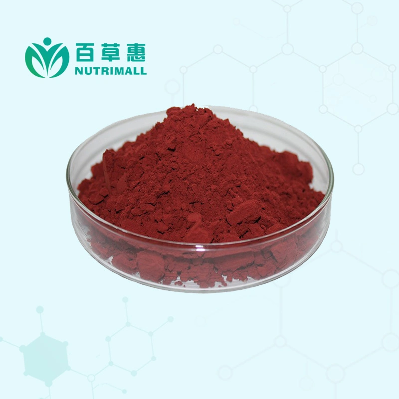 Hot Selling Hibiscus Flower Extract Powder