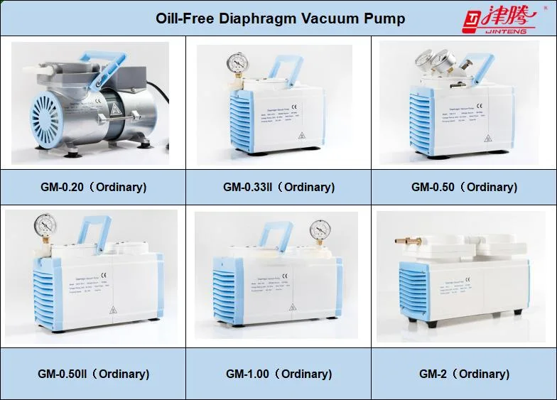 Lab Clean Oill Free Vacuum Pump with Wholesale/Supplier Price (20L/Min)