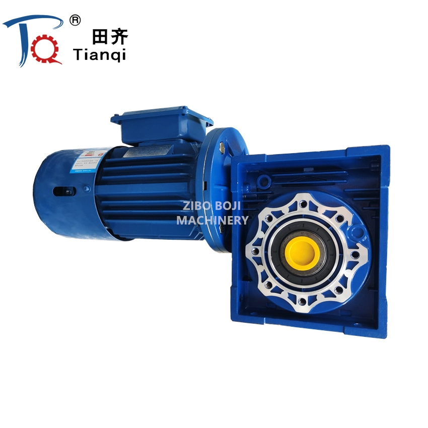 Servo 12V 24V 48V High Torque DC Worm Gear Motor