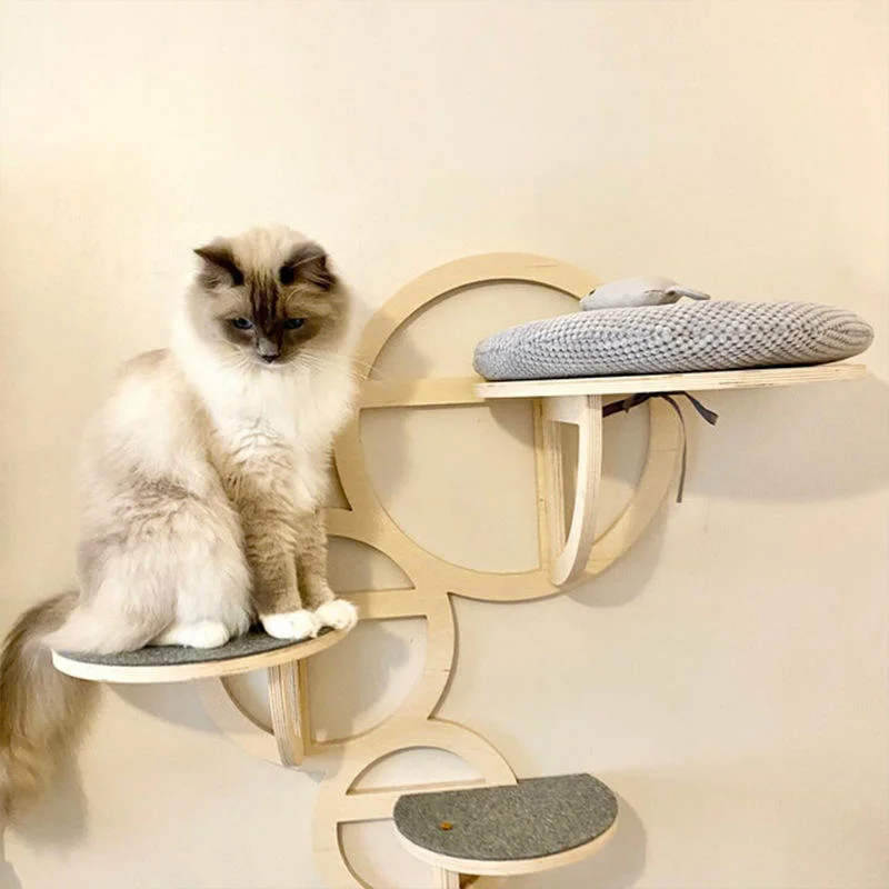 Customized Three Circle Wall Jumping Ladder Wooden One-Piece Cat Climbing Frame