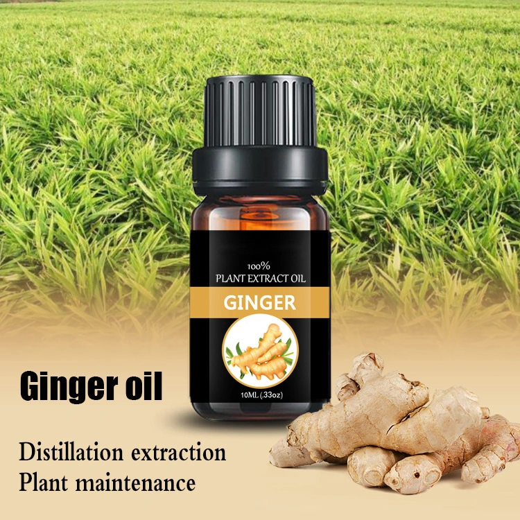 Pure Ginger Essential Oil, Manufatuer Supply Ginger Essential Oil, Therapeutic Grade, Perfect for Therapeutic Treatment, Skin C