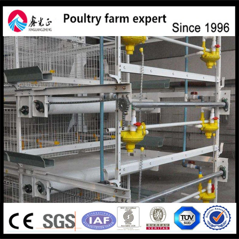 Factory Supply High quality/High cost performance  Poultry Farm Equipment Chiken Battery Layer Cage for Poulty Farm