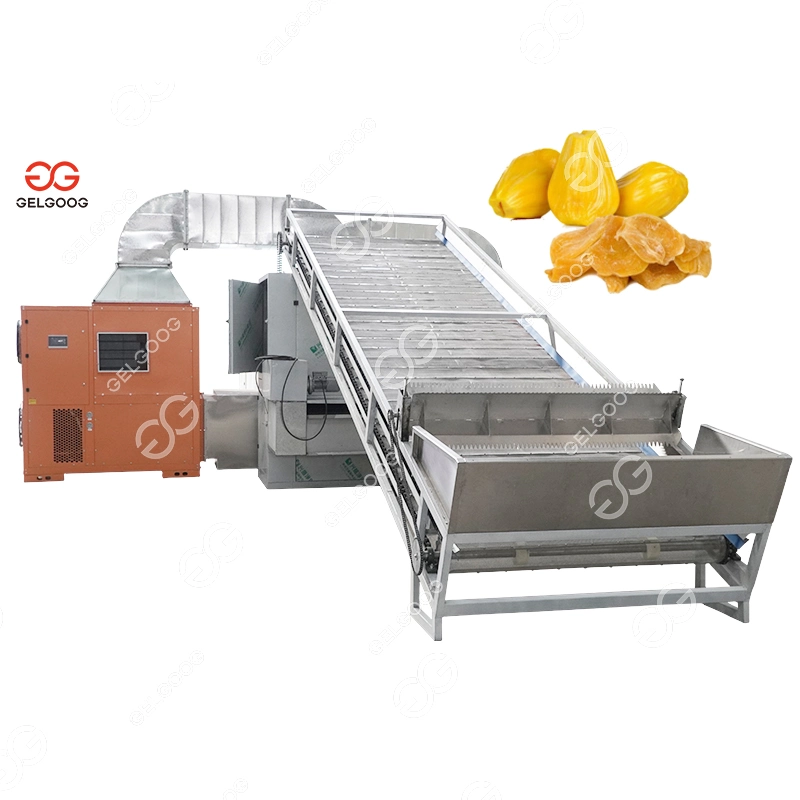 Gelgoog Dried Grape Raisin Continuous Belt Dryer Conveyor Drying Oven Equipment Belt Dehydrator Machine