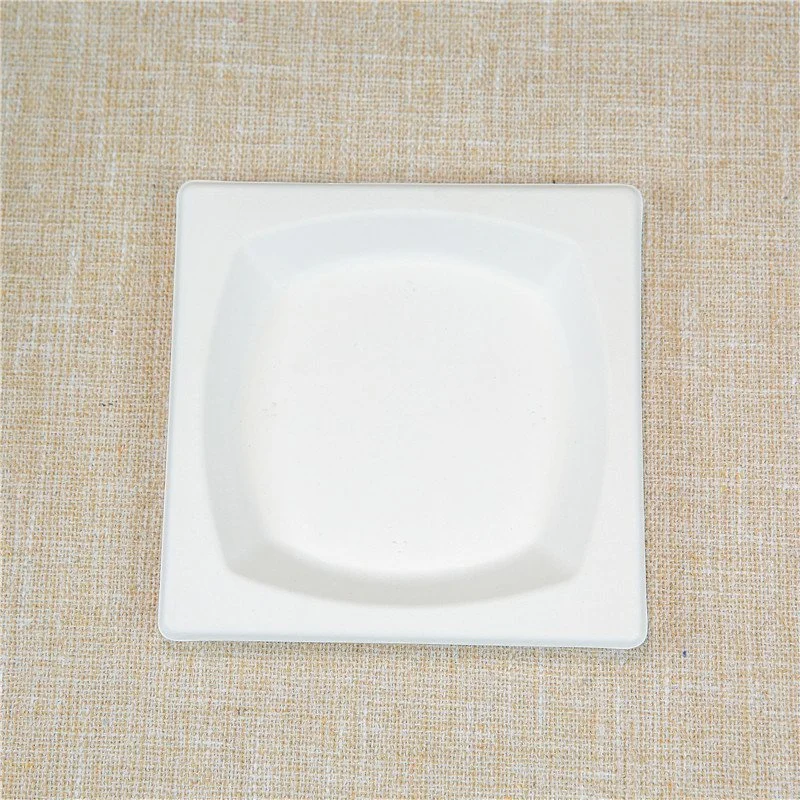 Bagasse Plate Square Plates Rectangle Sugarcane Bagasse White Plate 6/ 8.5/ 10 Inch Disposable Square Plate