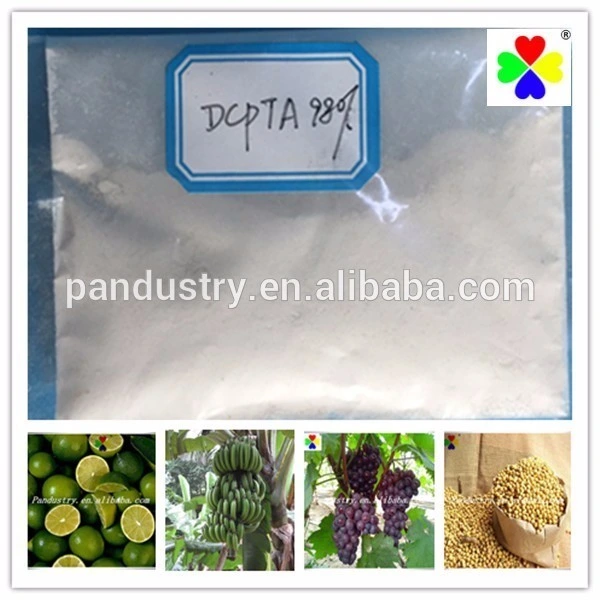 Professional Manufacture Growth Promoter Dcpta Use on Sugarbeet