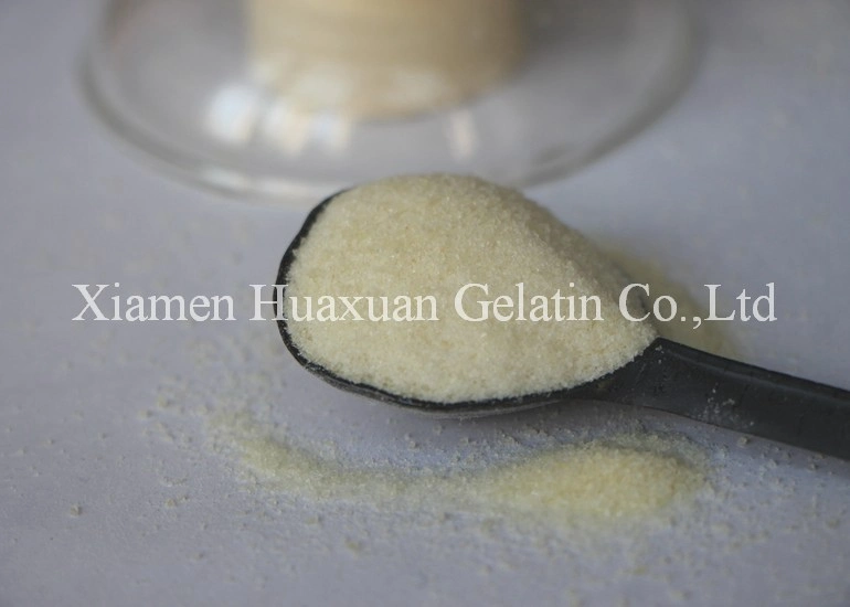 Halal Edible Gelatin Powder Ingredients for Cakes