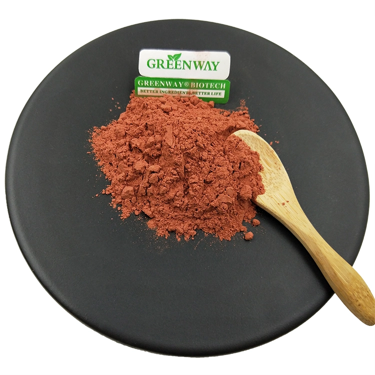 Skin Care Tomato Extract Raw Material Natural Colorant Pure Organic Bulk Anti-Oxidatio 99% Lycopene Powder